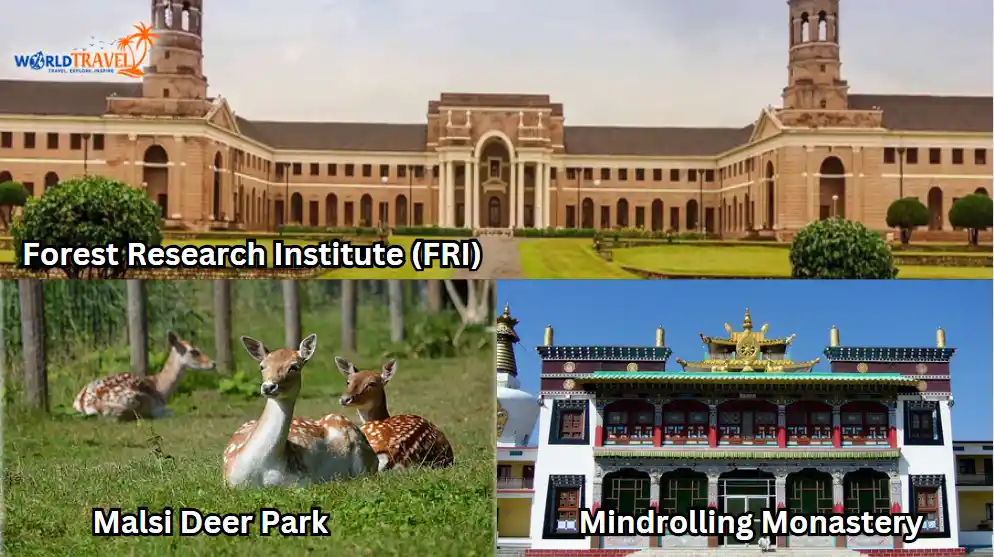 6 Things to Visit in Dehradun Deer Parks Research Center and More